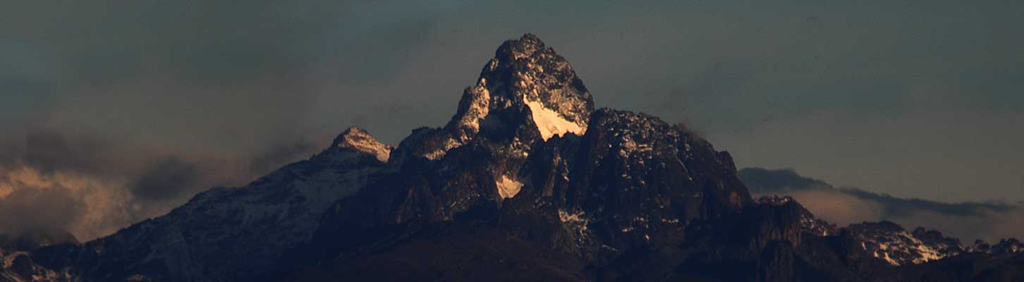 gorilla safari trekking uganda