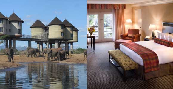 Artist's interpretation of article headline