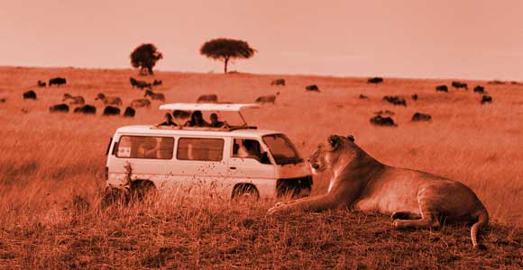 Artist's interpretation of article headline